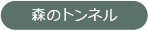 森のトンネル