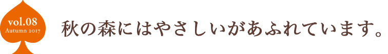 秋の森にはやさしいがあふれています。