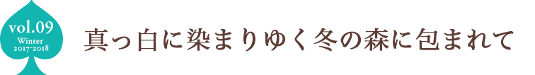 真っ白に染まりゆく冬の森に包まれて