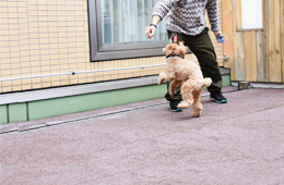 ワンちゃん同伴のお客様へのお願い