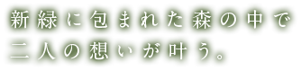 新緑に包まれた森の中で二人の想いが叶う