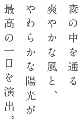 森の中を通る爽やかな風と、やわらかな陽光が最高の一日を演出。