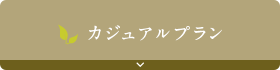 カジュアルプラン