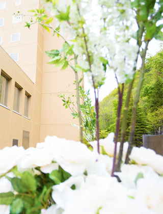 春の森 イメージ