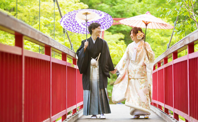 春の森 イメージ