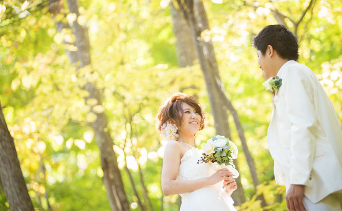 夏の森 イメージ