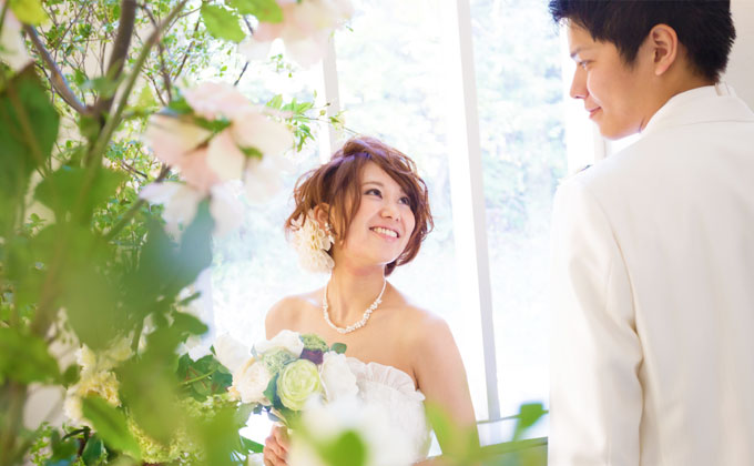 夏の森 イメージ