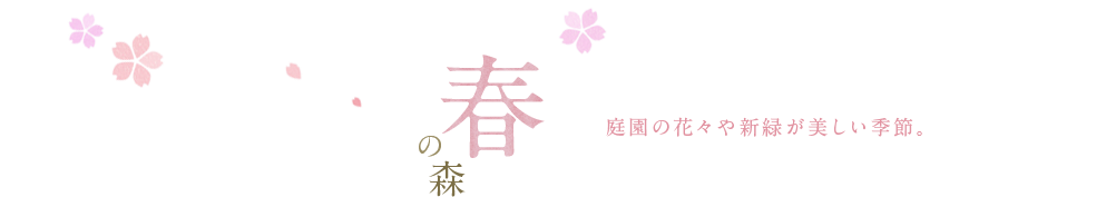 春の森 庭園の花々や新緑が美しい季節。