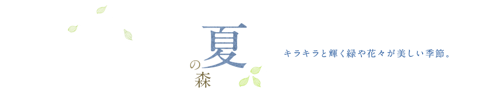 夏の森 キラキラと輝く緑や花々が美しい季節。