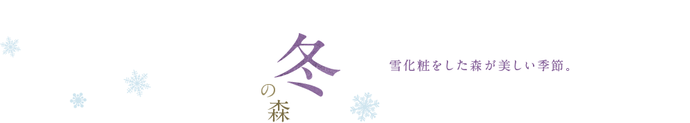 冬の森 雪化粧をした森が美しい季節。